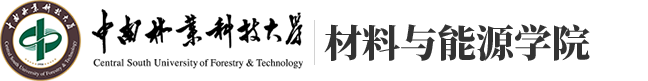 2026世界杯官网